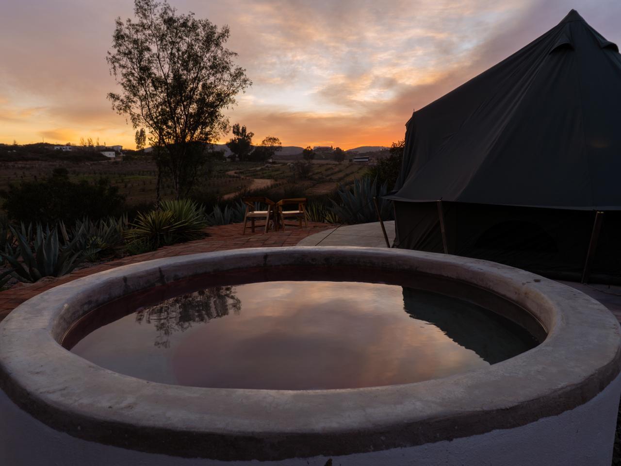 WhatsApp Image 2026-01-06 at 9.29.03 AM