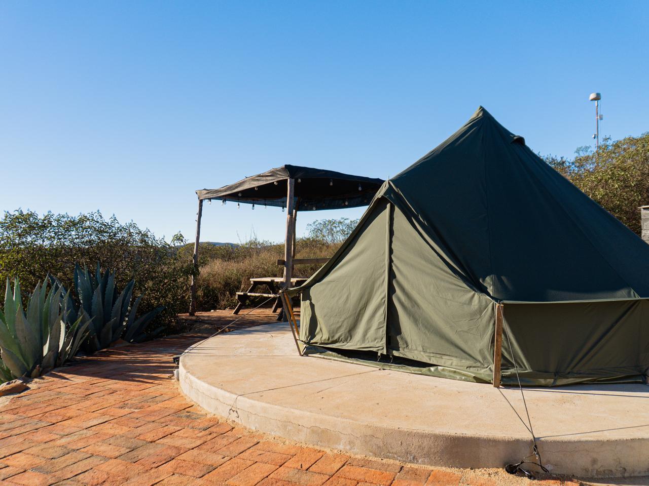 WhatsApp Image 2026-01-06 at 9.29.04 AM